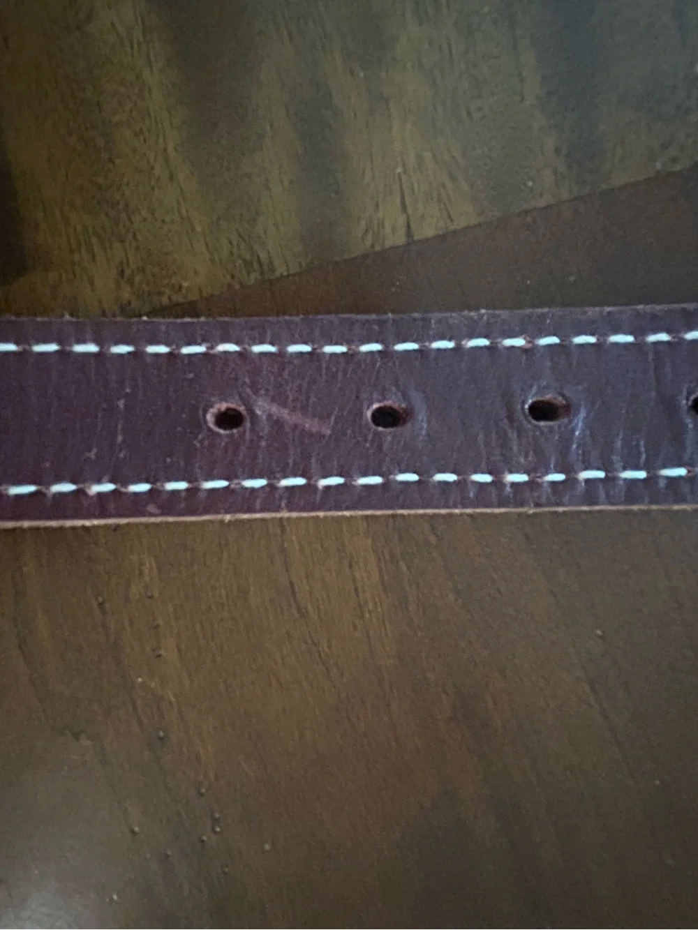 Ray Allen Dog Collar Heavy Duty Latigo Leather